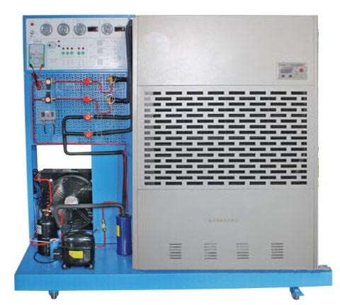 ����C�S�޼����c�����b��